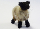 3_schapen