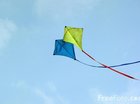 kites