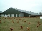 bioindustrie
