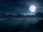Bella Notte