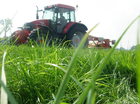 Koe gaat Dood:D