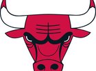 Bulls vs hornet