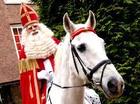 sint
