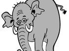 N/j olifant red